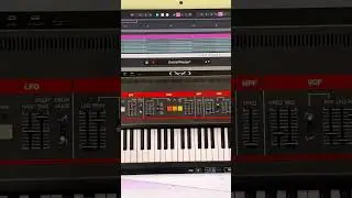 Orchid #ableton #synth #beatmaker #producer #popmusic #fyp #vibe #rhodes #rhythm #create #songwriter