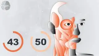 1-60 Minute Countdown Timer - Anatomy & Physiology Theme