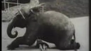Cheyenne Mountain Zoo in 1936