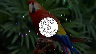 EKELE - ☆  ZOUKOMPA ~  HTR REMIX