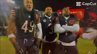 BEARS WON PLAYOFFS EDIT