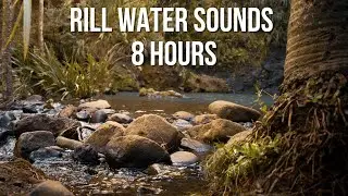 Rill Water White Noise | 8 Hour Loop for Sleep & Learning