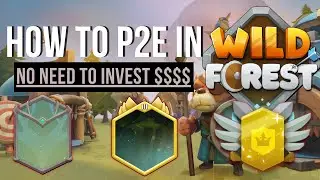 Wild Forest ⚔️ Play-to-Earn mechanics