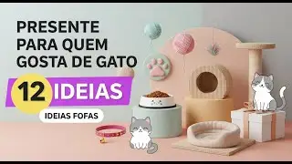Presente para Quem Gosta de Gato: 12 Dicas Incr&iacute;veis do Barato ao Luxo