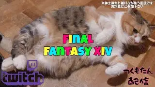 【FF14】14納め【2025.12.31】