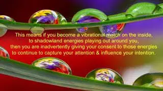 The Universal Law of Attraction Structure & Consent