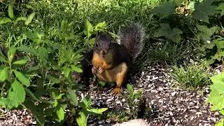 Richmond Nature Park - Spring 2015