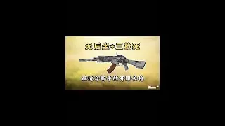 全距离无后坐+三枪死，新版本kn44最强配件来了！【使命召唤极境】