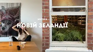 Мій апдейт із Нової Зеландії: нова віза, робота і життя з нуля