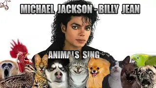 Michael Jackson - Billie Jean (Animal Cover)