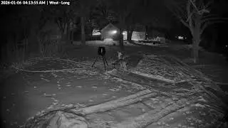 Animal Watch - 1/6/26