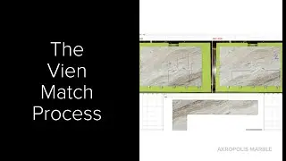 The Vein Match Process