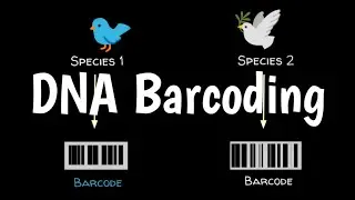 What Is DNA Barcoding | How DNA Barcoding Works |