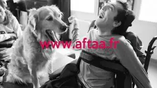 Podcast | Boule de poil anti-stress | AFTAA
