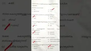 plus two say exam answer key 2023