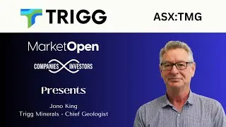 Trigg Minerals Unlocks High-Grade Tungsten & Antimony at Wild Cattle Creek!
