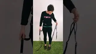 Hands-Free Dog Walking Combo: Leader x Sidekick