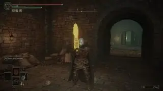 ELDEN RING&trade; new tumblebuff glitch without boluses