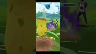 VICTREEBEL erases Shadow SWAMPERT in Great League🥵