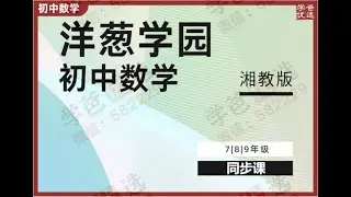 【000966】【初中数学】洋葱：初一初二初三数学同步课（湘教版）