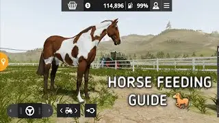 How To Buy And Feed Horses In Fs20 || Farming Simulator 20 || Horse Feeding Guide