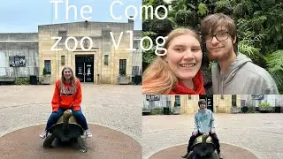 the Como zoo Vlog