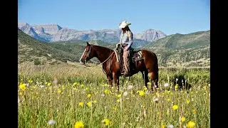Jagster 2013 AQHA Gelding is Lot 40 consigned to the Fall Round Up Horse Sale
