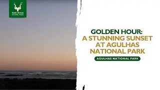 Breathtaking Sunset at Agulhas National Park 🌅 #SANParks
