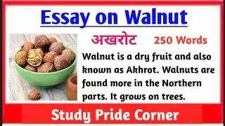 Essay on Walnut in English | Essay on Walnut | Benefits of Walnut Dry Fruit / Akrot