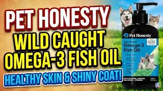Блестящая шерсть и крепкие суставы! Отзыв о рыбьем жире Омега-3 от Pet Honesty Wild Caught.