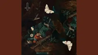 Vybora