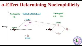 &alpha;-Effect Determining Nucleophilicity