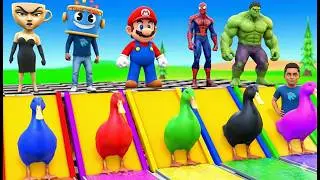 Playing as Spiderman in Long Slide Game with Cow Elephant Gorilla Hippo Tiger. Funny 3d Animal Game