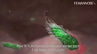 Femannose N Wirkvideo  | Volksversand.de
