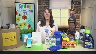 Fresh Spring Cleaning Tips