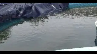 opening the pool after winter