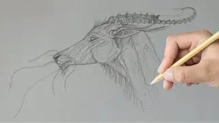 How To Draw a Dragon Head Step By Step