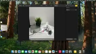 Apple Mac mini M4 &ndash; How to use Apple Intelligence Cleanup in the Photos app