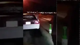 Flo vs Titi Mustang vs Honda