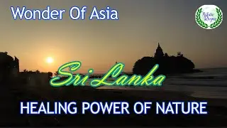 Healing Power Of Nature - (Ceylon) Nature Medication #nature #beatifulnature #naturelovers #beach