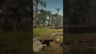 How to sell your trader business in a solo lobby! #reddeadonline #rdo #trader #trending #fyp #chill