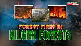 Forest Fires in Nilgiri Forests (TN) | IAF&rsquo;s Helicopters Deployed | Pratiyogita Darpan