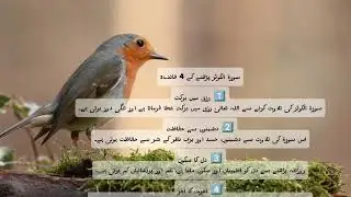 Surah Al kausar ko parny k 4 faidy 