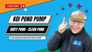Clear Your Koi Pool: Essential Koi Pond Pump Exchange