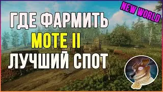 Добыча ресурсов в New World - споты по фарму алхимии mote