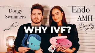 Why are we having IVF?
