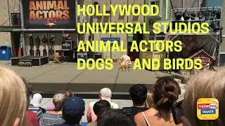 HOLLYWOOD UNIVERSAL STUDIOS ANIMAL ACTORS (2019) DOGS 🐕 AND BIRDS 🦅