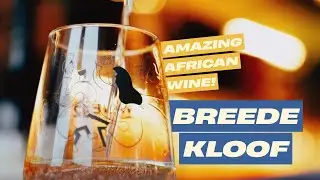 Our TOP PICKS from South Africa's BREEDEKLOOF Wine Region!