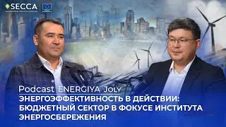 Энергоэффективность в действии: бюджетный сектор в фокусе Института энергосбережения
