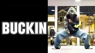 Beyonce x Mike Jones - Buckiin (TikTok remix) LYRICS  | prod. Jacob Dior | Buckin, Buckin, Buckin